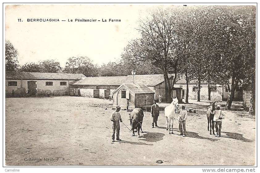 BERROUAGHIA . Le Penitencier - La Ferme