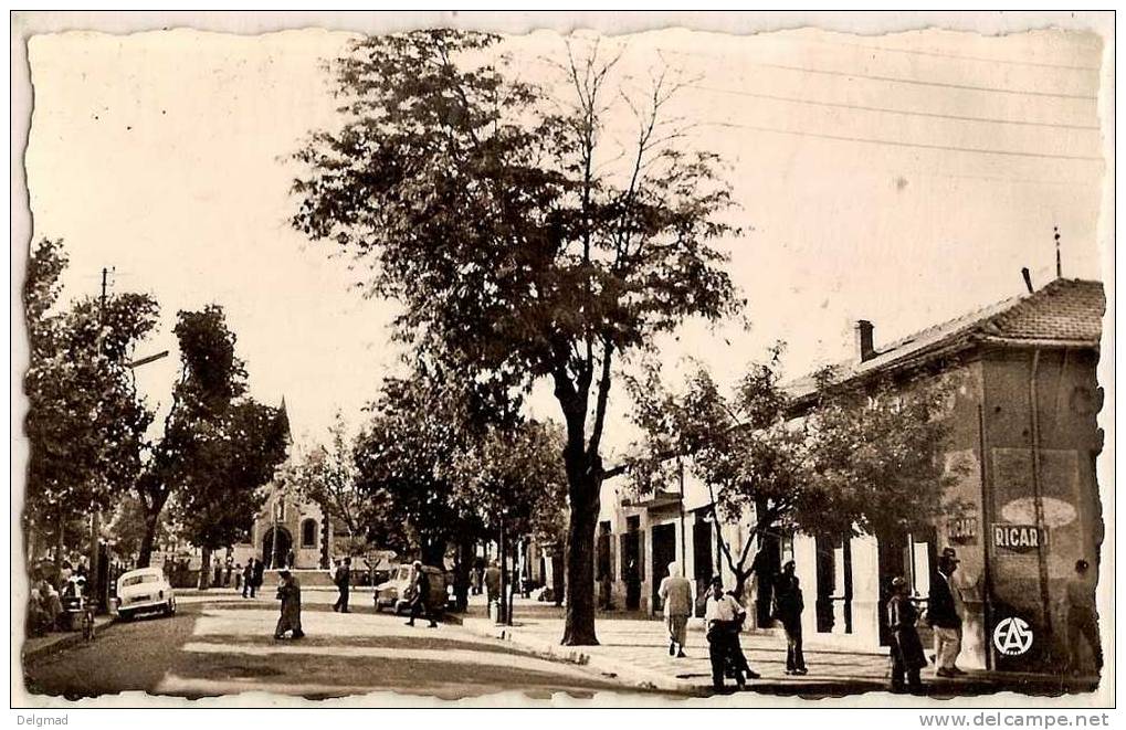 ALGERIE BERROUAGHIA Rue d'Alger Pub Ricard