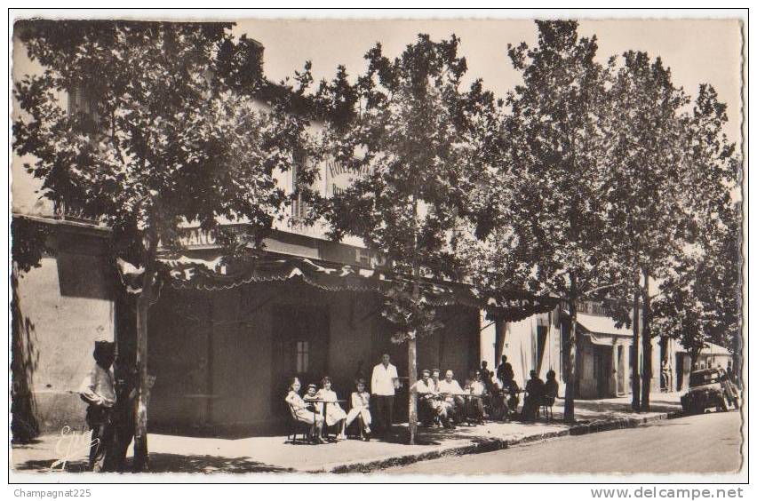 CPSM ALGERIE BERROUAGHIA Hôtel de France Animation en Terrasse Garçon de Café 1956