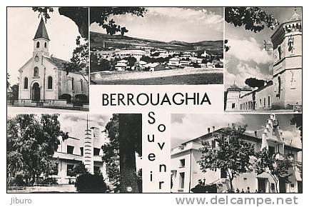 Algérie  /  BERROUAGHIA  /  CPSM dentelée petit format en bon état  // CP 1/743