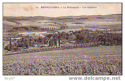 (  Algérie ) BERROUAGHIA        le Pénitencier      1909    D.1217