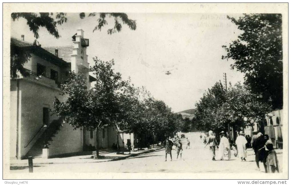 CPSM PETIT FORMAT BERROUAGHIA LA MAIRIE ET RUE D´ALGER ANIMEE  VOIR SCANER