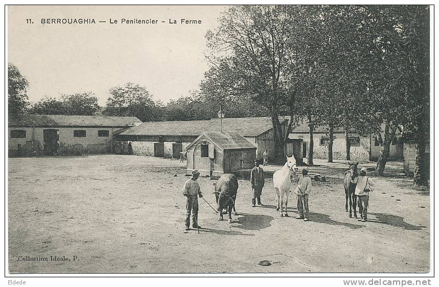 Berrouaghia Le  Penitencier , Bagne,  La Ferme No 11