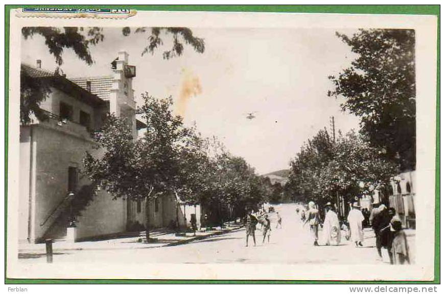 AFRIQUE. ALGERIE. BERROUAGHIA. La Mairie et La Rue d'Alger.