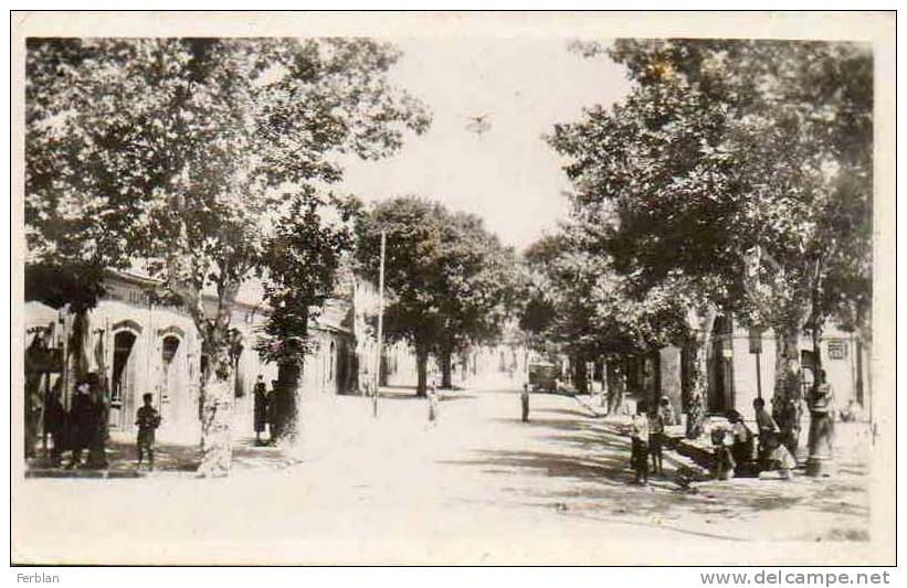 AFRIQUE. ALGERIE. BERROUAGHIA. Rue de Smala.