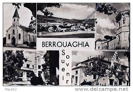 berrouaghia-souvenir de berrouaghia-cpsm