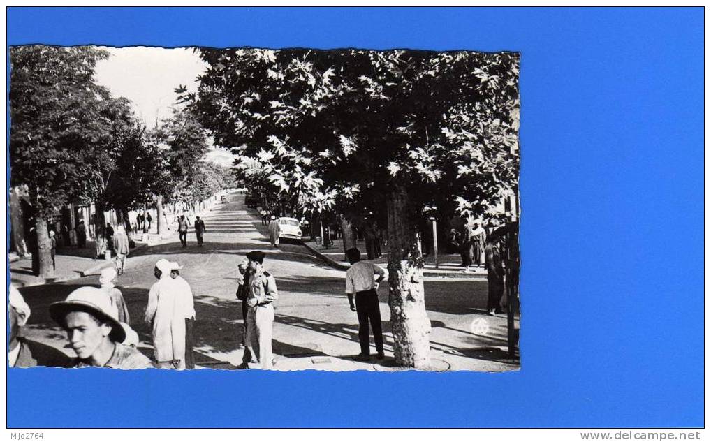 BERROUAGHIA    LA RUE D ALGER