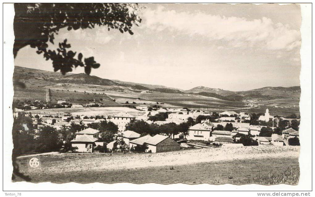 CPSM FORMAT CPA  BERROUAGHIA  VUE GÉNÉRALE