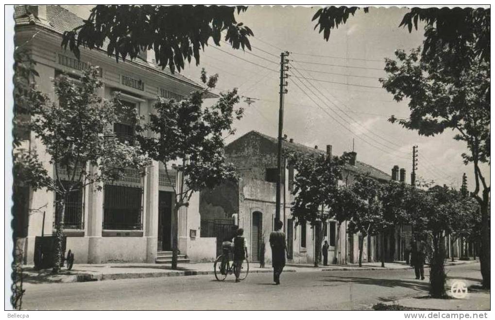 Algérie Berrouaghia la Poste Rue d'Alger Cpsm
