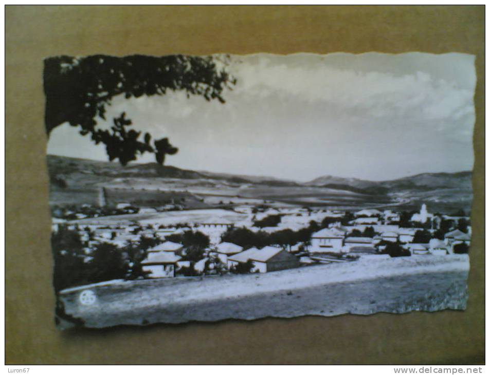 CPSM DE BERROUAGHIA vue générale