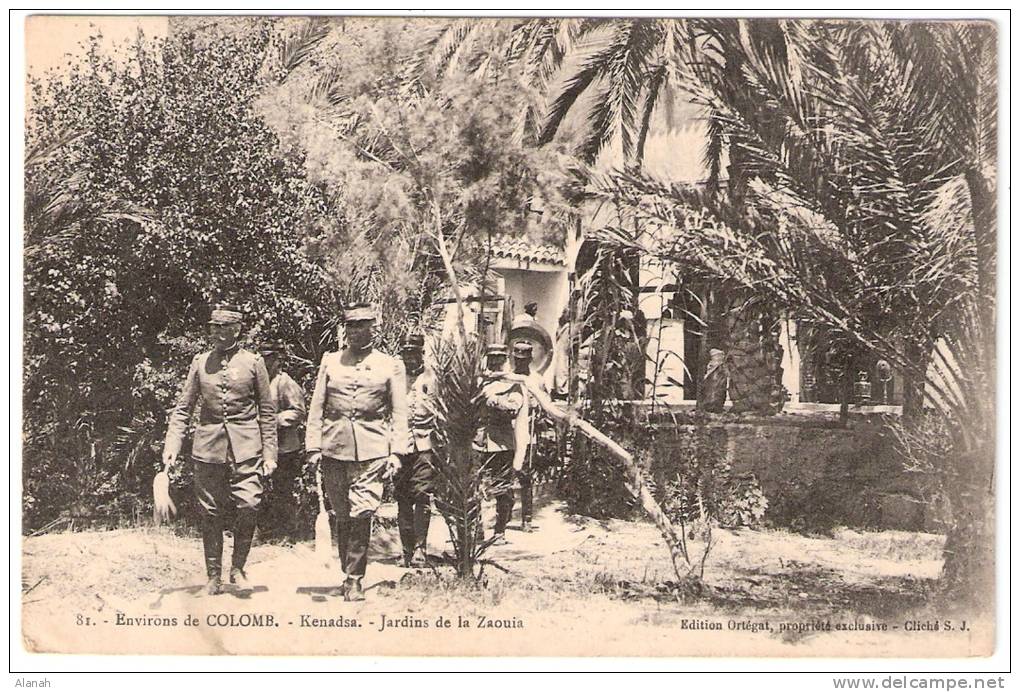 KENADSA jardins de la Zaouia (Ortegat) Algérie Afrique