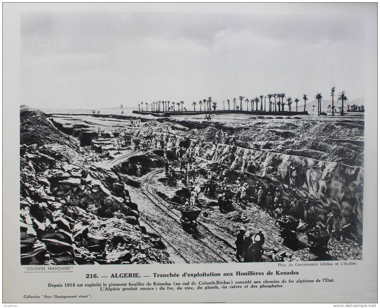 Carte postale format 24 x 29,8 cm - Algérie - n° 216 - Tranchée d´exploitation aux Houillères de Kenadsa