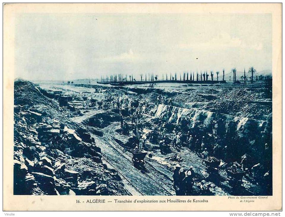 Algerie  VP-90  image pédagogique format 17, 8 cm x 23,7 cm tranchée d'exploitation aux houillères de kENADSA (mine)