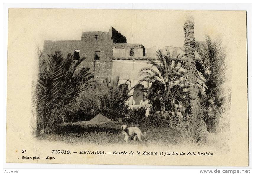 ALGERIE   FIGUIG  KENADSA  ENTREE DE LA ZAOULA ET JARDINS DE SIDI BRAHIM