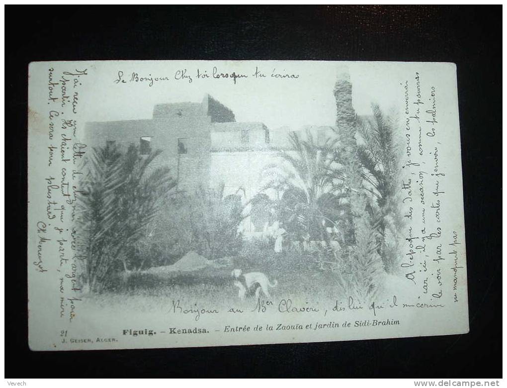 FIGUIG KENADSA ENTREE DE LA ZAOUIA ET JARDIN DE SIDI-BRAHIM OBL. BENI GUNIF DE FIGUIG 25-06-1907 (ALGERIE)