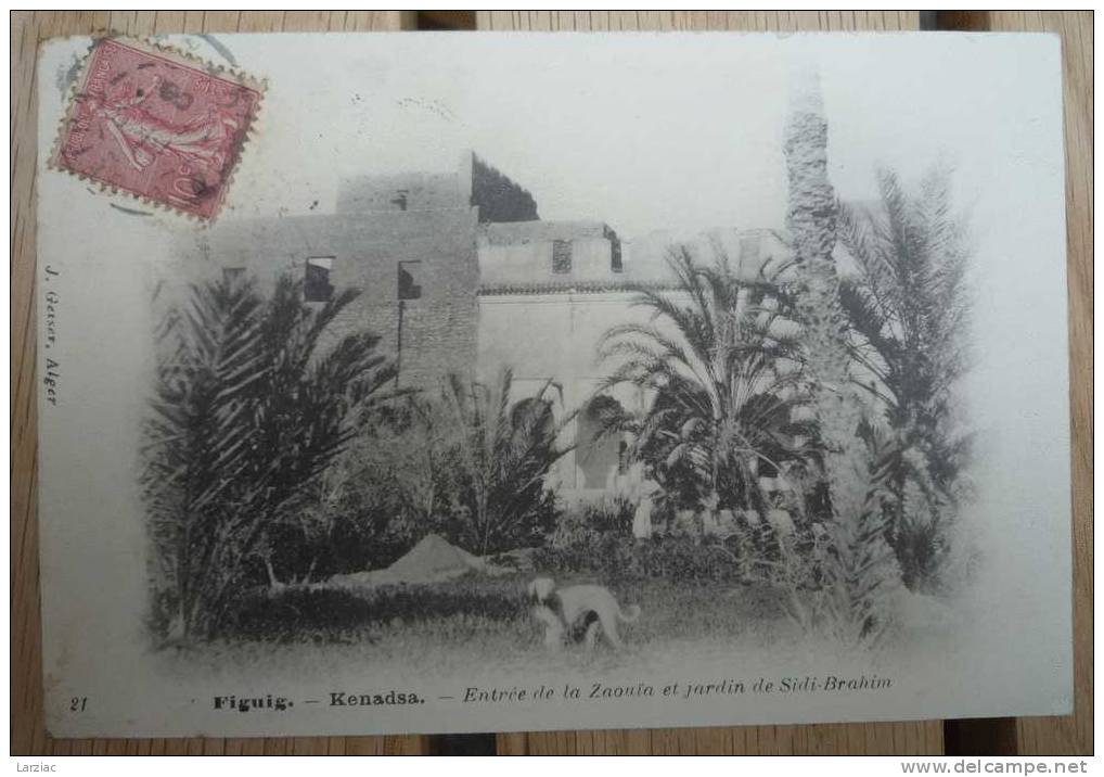 Figuig Kenadsa entrée de la Zaouïa et jardin de idi-Brahim