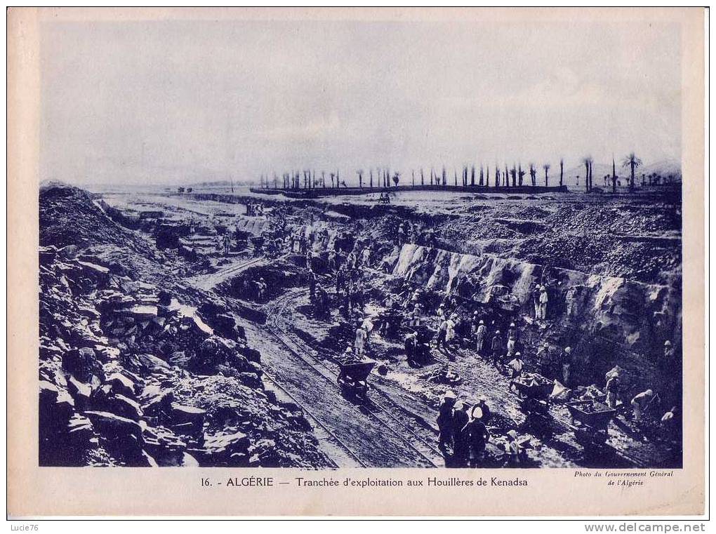 Les Colonies Françaises - ALGERIE -  Tranchée d´Exploitation aux Houillères de KENADSA - n°  16    .