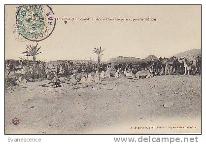 KENADSA  / CARAVANE PARTANT POUR LR TAFILALET  //  REF11602