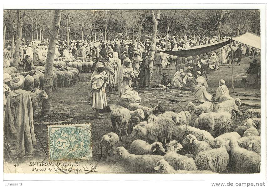 Carte Postale Ancienne Algérie - Maison Carrée (El Harrach). Marché - Commerces, moutons