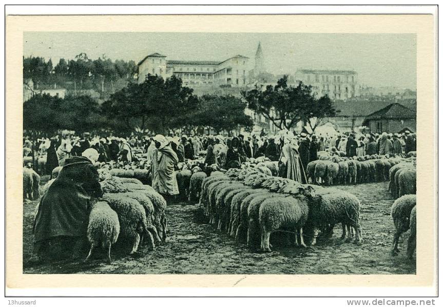 Carte Postale Ancienne Algérie - Maison Carrée (El Harrach). Marché aux Moutons - Commerces