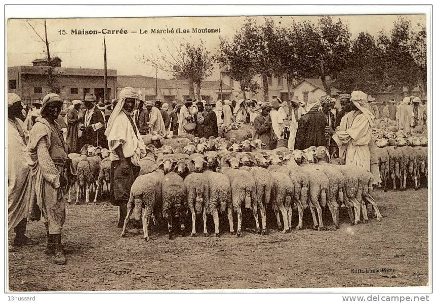 Carte Postale Ancienne Algérie - Maison Carrée (El Harrach). Le Marché (Les Moutons) - Commerces