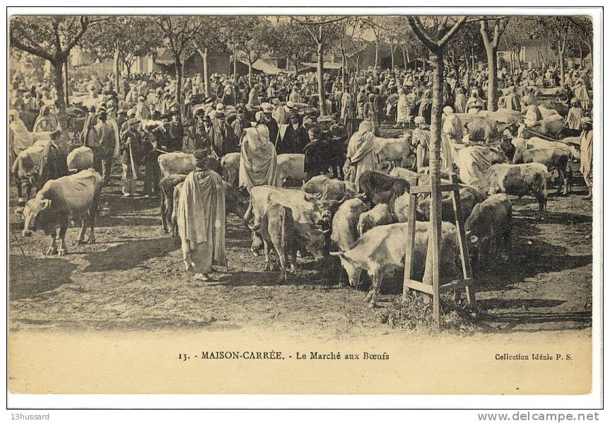 Carte Postale Ancienne Algérie - Maison Carrée (El Harrach). Le Marché aux Boeufs - Commerces