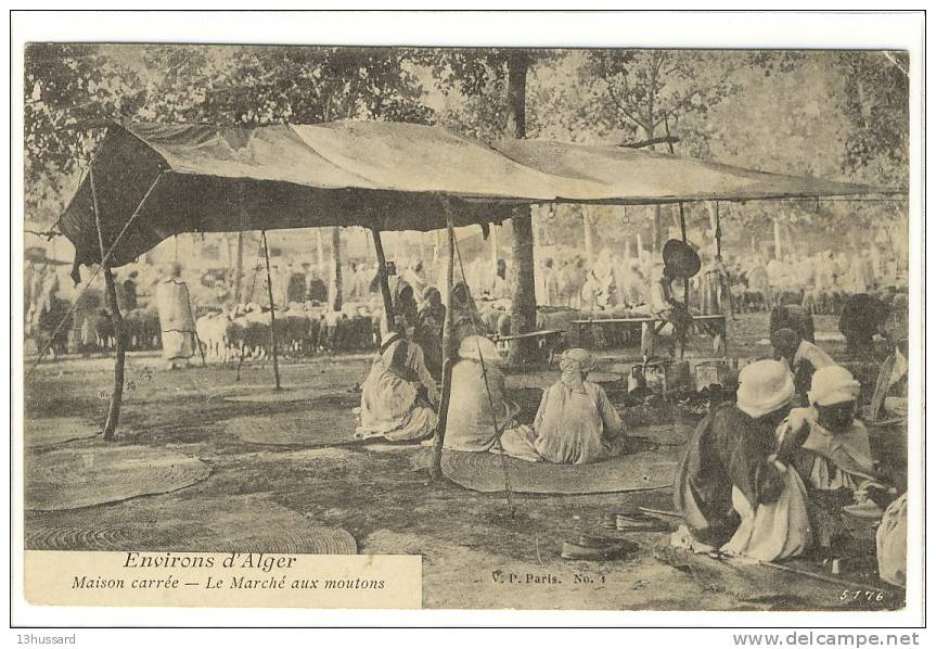 Carte Postale Ancienne Algérie - Maison Carrée (El Harrach). Le Marché aux Moutons