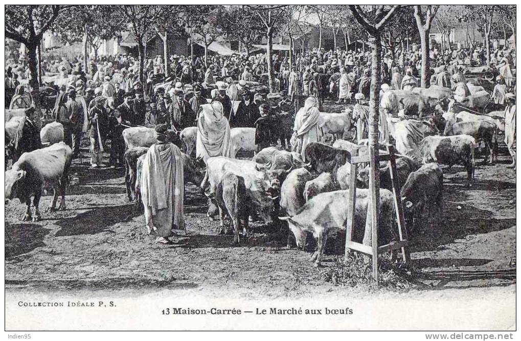 Algérie - Maison-Carrée (El Harrach) Le Marché aux Boeufs