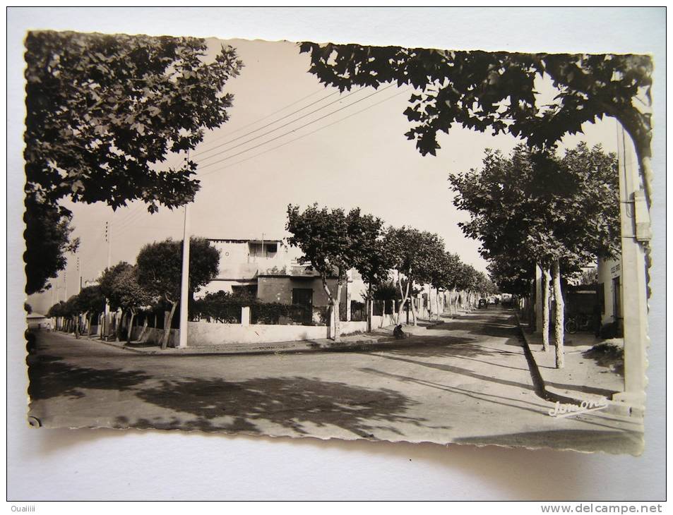 cpsm, carte photo, très belle vue animée, Hussein Dey, quartier Léveilley, rue Courly
