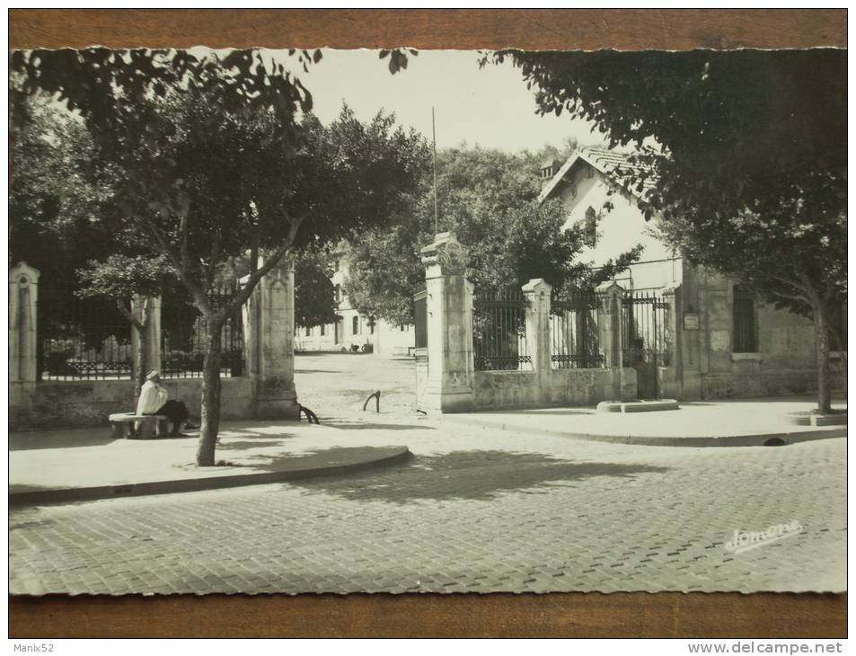 ALGÉRIE - HUSSEIN-DEY - 