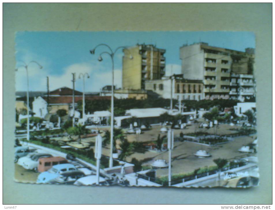 CPSM DE HUSSEIN DEY le Nouveau Jardin Public