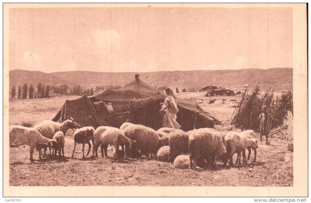 CAMPEMENT DE NOMADES DANS LE SUD TUNISIEN R. PROUHO HUSSEIN DEY MEDAILLE D'OR GRENOBLE 1925 PAS CIRCULEE