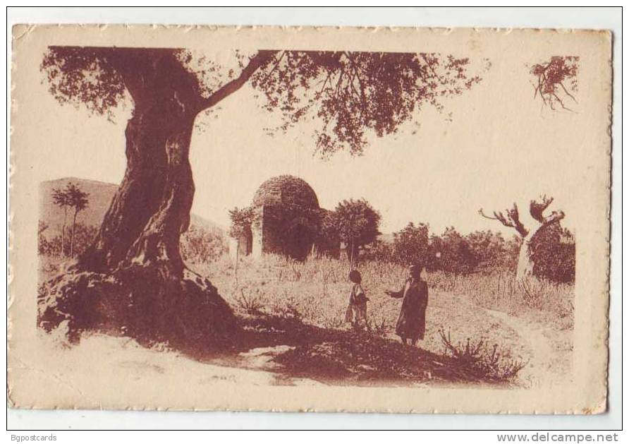 Paysage Oriental - ed. R. Prouho , Hussein-Dey