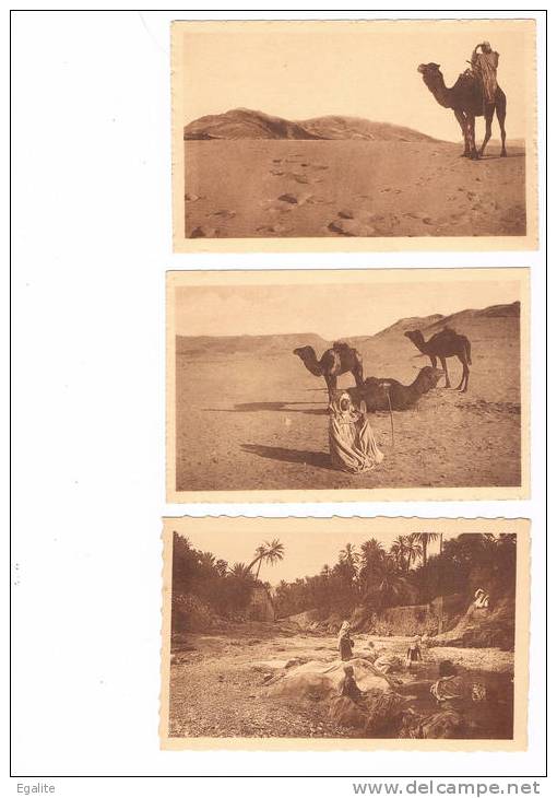 lot  de 3  superbe carte postale algerie année 30 col.AFRIQUE r.Prouho_Hussein.Dey