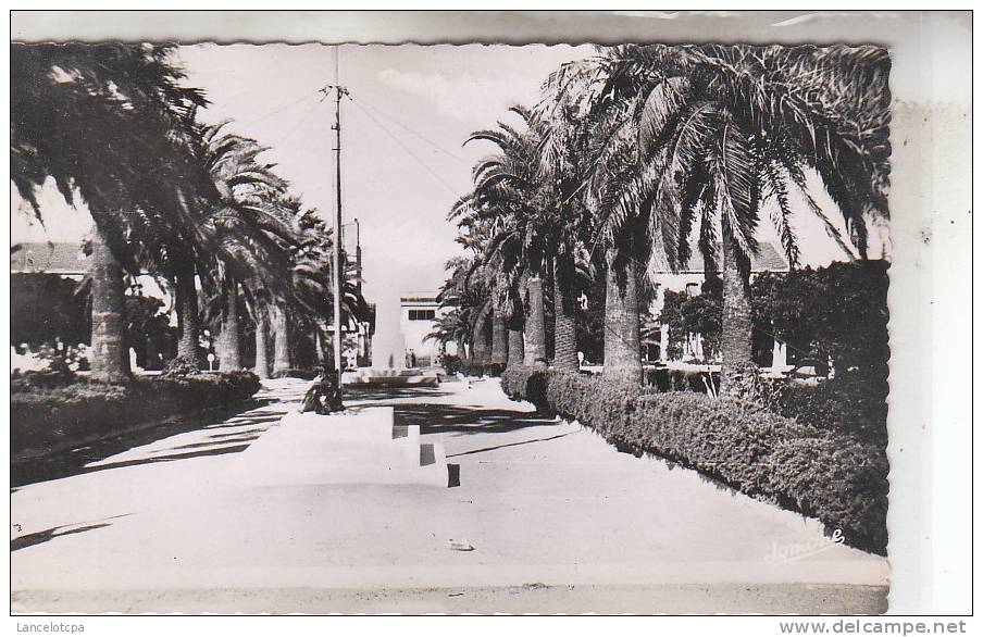 HUSSEIN DEY / 29è GENIE - ALLEE CENTRALE