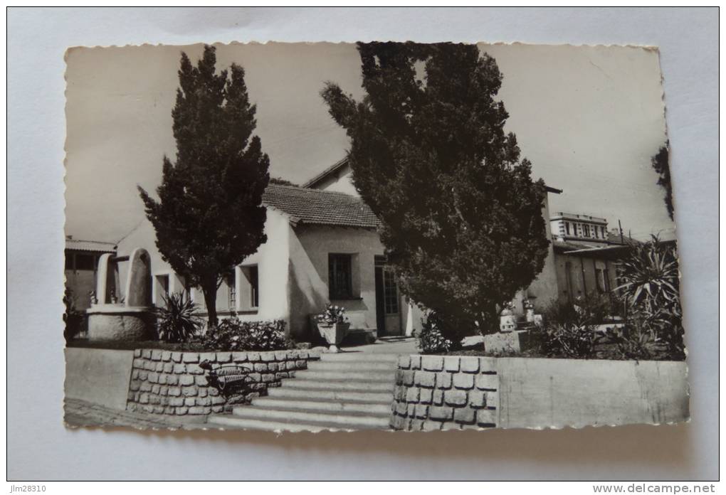 396 - 19e régiment du génie - Jardin japonais ou terre provençale - Alger - Hussein Dey - dentelée