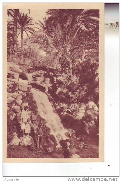 TUNISIE - GABES - dans la palmeraie - nr 8 prouho à hussein dey - d4 242