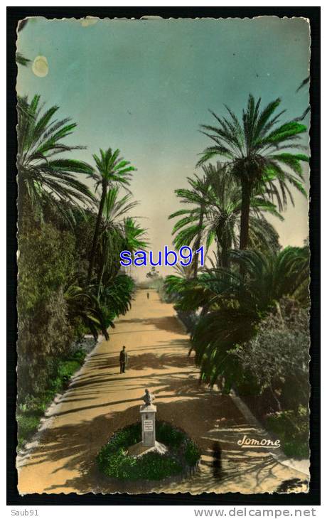 Alger  -  Hôpital Militaire Maillot  -  Allée Centrale   -   Tampon Militaire   Hussein Dey - Réf  24277