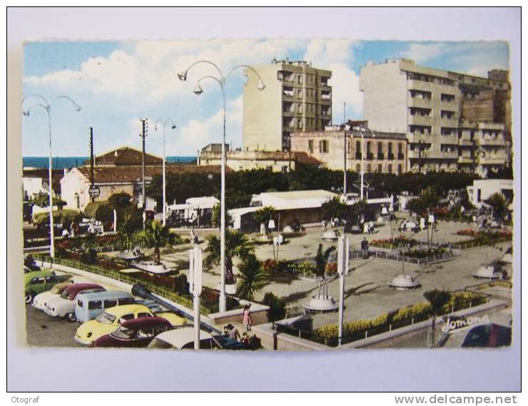 CPSM - HUSSEIN DEY - Le nouveau jardin public - animée