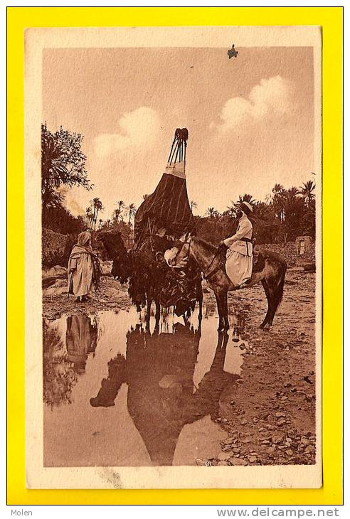 BASSOUD A LA RIVIERE – BOU-SAADA * Coll. R Prouho , Hussein-Dey , Algerie * Animation Dromadaire * Afrique Nord 3451