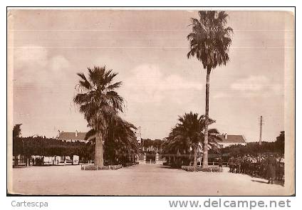 Hussein dey caserne du genie allée d'honneur