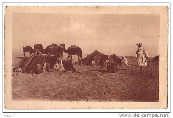 Campement dans le désert - col. artistique 