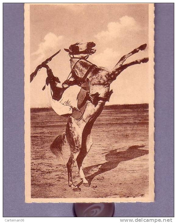 Algérie - Bou Saada - Cheval cabré - Editeur R. Prouho - Hussein Dey