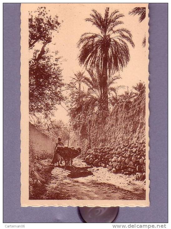 Algérie - Bou Saada - Un chemin dans l'oasis - Editeur R. Prouho - Hussein Dey