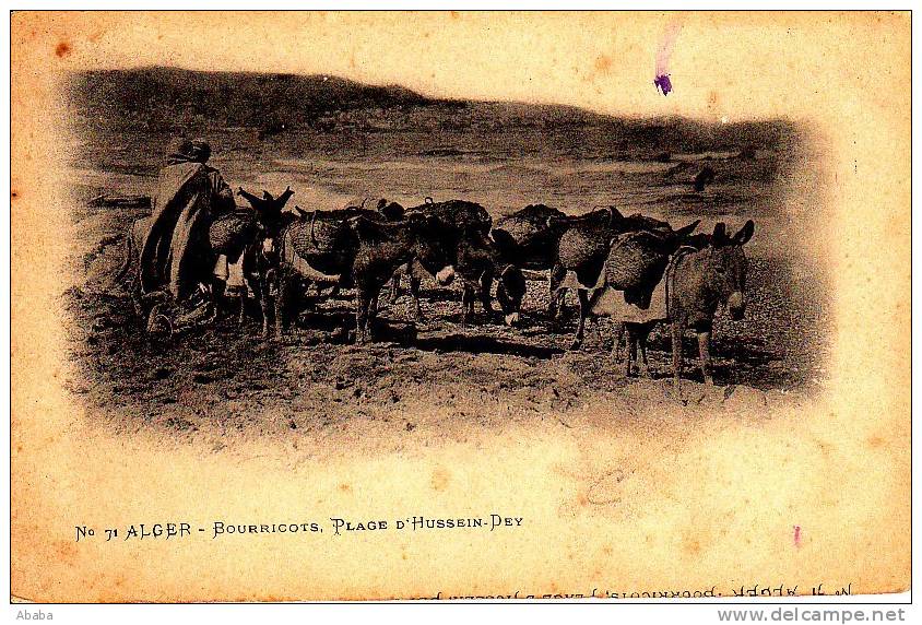 ALGER BOURRICOTS PLACE D HUSSEIN DEY