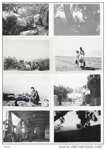 ALGERIE - 8 photos - alger, barrage du hamiz, hussein-dey, bab-el-oued, n.d. d' afrique, ..(15084)