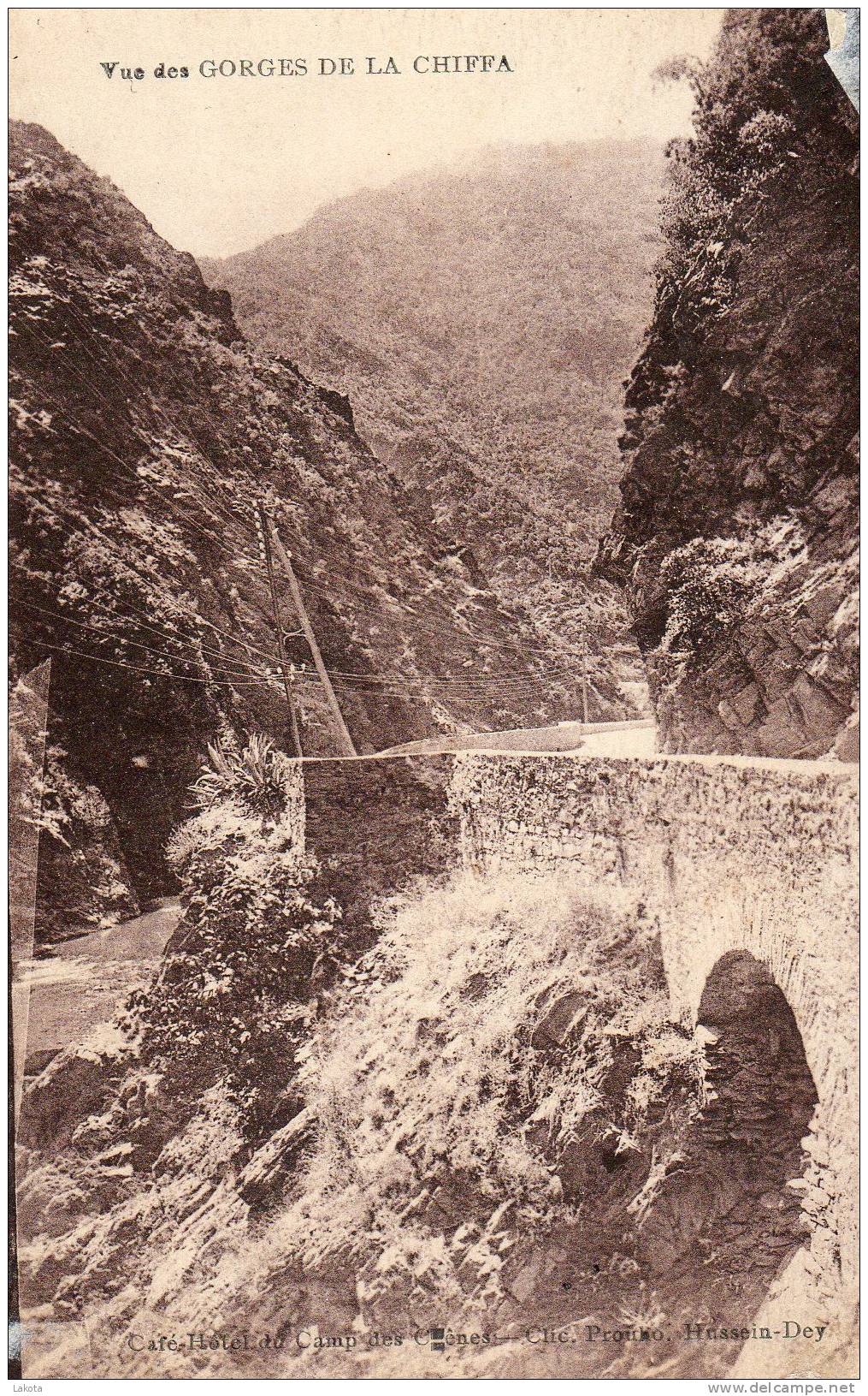 CPA  Vue des gorges de la Chiffa - Edit. Café Hôtel du Camp des Chênes Cliché Prouho. Hussein Dey