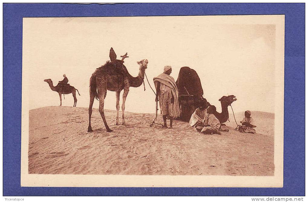 S391))   HALTE AU DESERT  col r prouho  HUSSEIN DEY  (TTB ETAT)