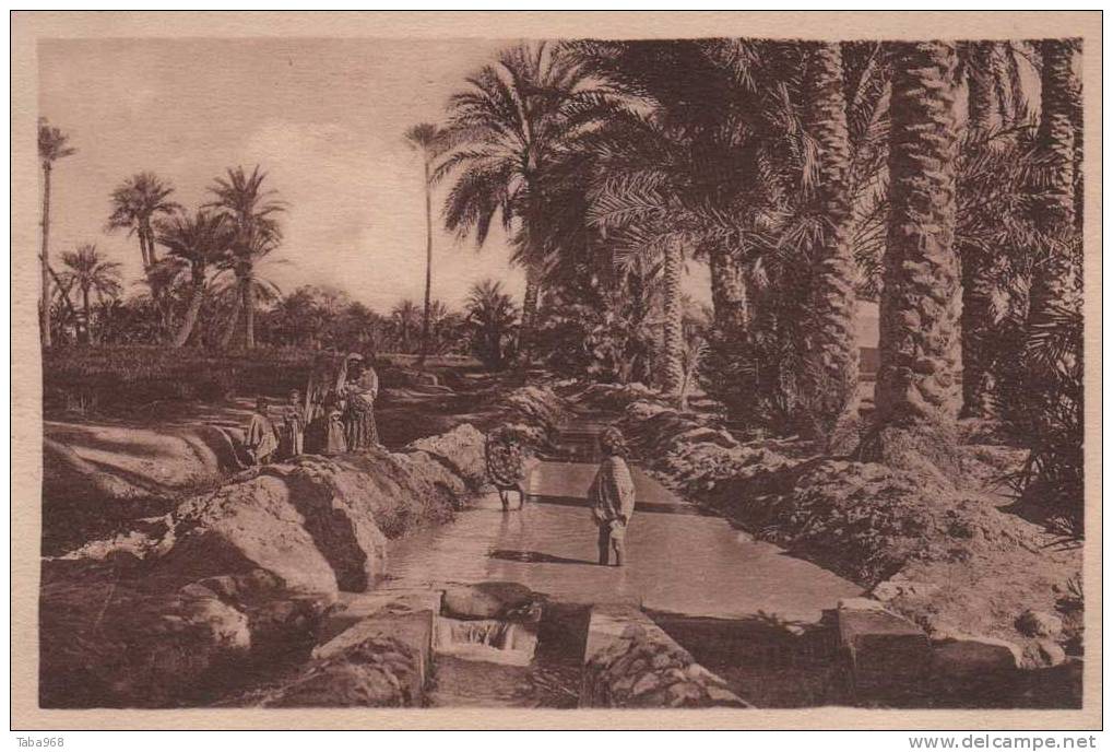 CPA COLLECTION PROUHO HUSSEIN DEY.PRES DE LA SEGUIA.