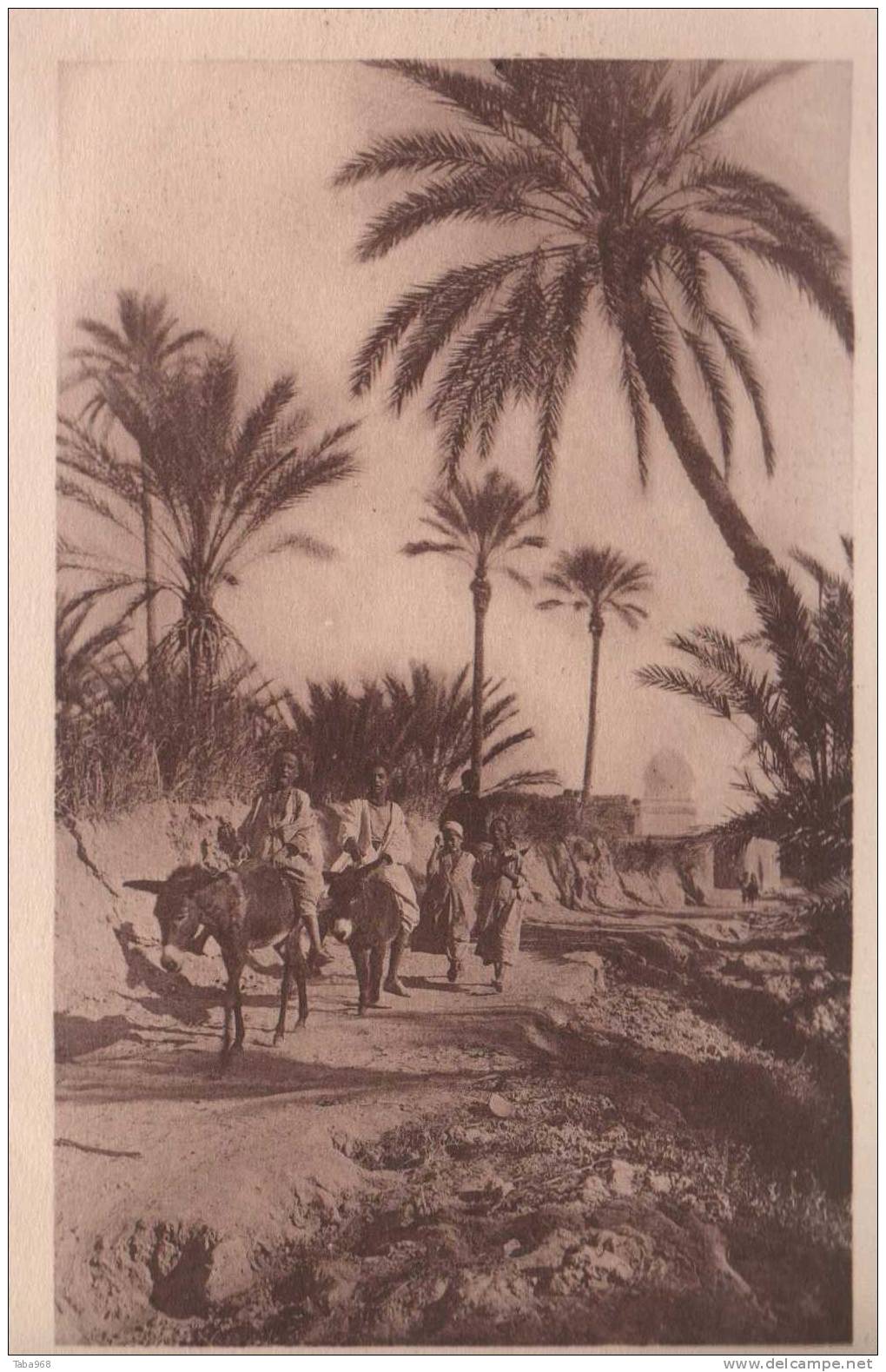 CPA COLLECTION PROUHO HUSSEIN DEY GRENOBLE 1925.UNE PALMERAIS DU SUD.